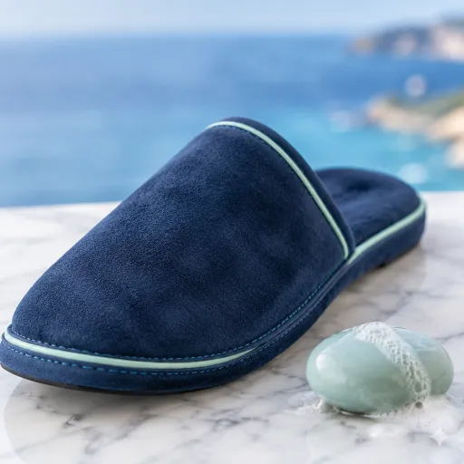 An elegant guide to luxury hotels in Nice, France for refined urban retreats